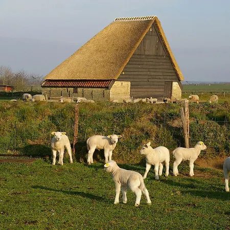 アパート Luxurious Holiday Near Texel With Sauna